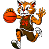 Basketball Cat