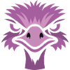Bouquet with sunglasses, Nandu, Emu