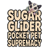 Sugar Glider Mom Exotic Pet Lover
