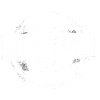Non-smoker Ex Smoker Nicotine Free