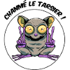 Chanmé, le tarsier !