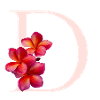 D Monogramm mit Frangipani
