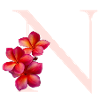 N Floral Monogram