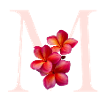 Monogramme M avec fleur rose