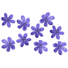 Leberblümchen retro design flowers Garten März