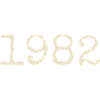 1982 Birthday Gift - Awesome since 1982