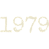 1979 Birthday Gift - Awesome since 1979