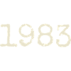 1983 Birthday Gift - Awesome since 1983