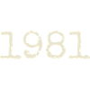Cadeau Anniversaire 1981 - Génial depuis 1981