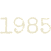 1985 Birthday Gift - Awesome since 1985