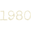 1980 Birthday Gift - Awesome since 1980