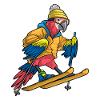 Ski Perroquet Sports d’hiver