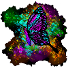Papillon tacheté