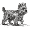 Yorkshire Terrier Sketch – Hund Design