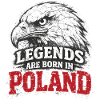 Poland Legend: White Eagle – Pride & Tradition