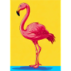 flamingo