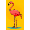 flamingo