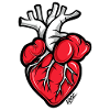 Cartoon Anatomical Heart
