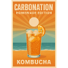 Homemade sparkling water | Kombucha DIY