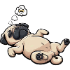 Mops Möpse Mopsbesitzer Mopsliebhaber Mopshalter