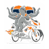 Elephant duo on motorcycle adventure