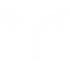 L'envol de l'oiseau blanc