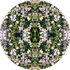 Nature Mandala Spring in Nuremberg