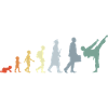 Rétro Karateka Evolution