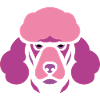 Bouquet with sunglasses, Nandu, Emu
