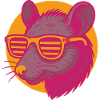 Rat with sunglasses