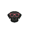Schwarze Labrador-Mutter Schwarzer Labrador-Liebhaber