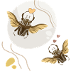 Insect