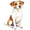 Jack Russel Terrier Design Illustration