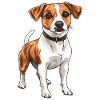 Jack Russel Terrier Hundedesign