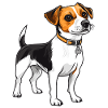 Jack Russel Dog with Collar