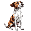 Jack Russell Portrait Illustration