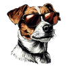 Sunglasses Dog Jack Russell