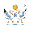 Two Seagulls Fight for Volleyball Mine!! Mine!?