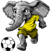 Elefant Fussball