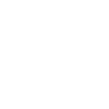 Pilot