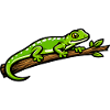 Green gecko on branch – vivid illustration