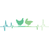 Hen heartbeat hens