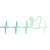 cat heartbeat cats