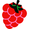 Raspberry Fruit Shirt Minimal Berry Design