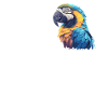Macaw's Era