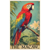 Macaw's Era