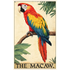 Macaw's Era