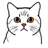 Teodoro the Cat - Cat's Head