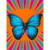 papillon