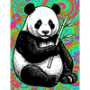 panda